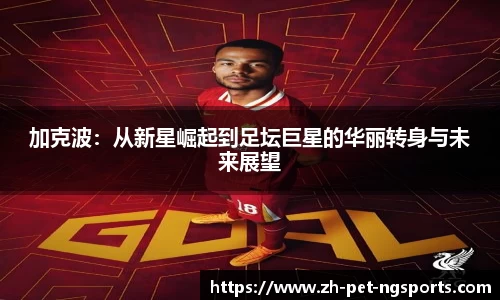 加克波：从新星崛起到足坛巨星的华丽转身与未来展望