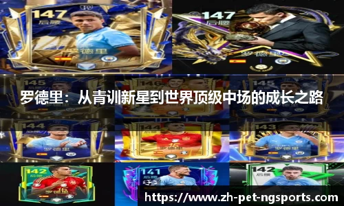 手机在线体育