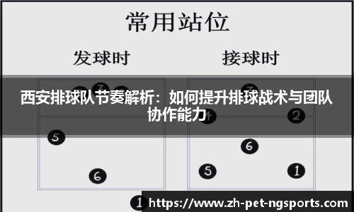 手机在线体育