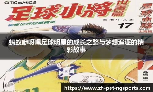 体育数据分析