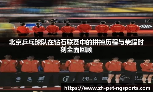 手机在线体育