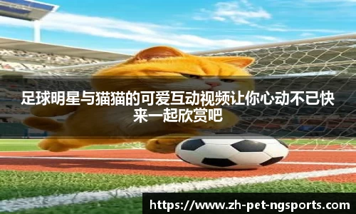 足球明星与猫猫的可爱互动视频让你心动不已快来一起欣赏吧 足球明星与猫猫的可爱互动视频让你心动不已快来一起欣赏吧