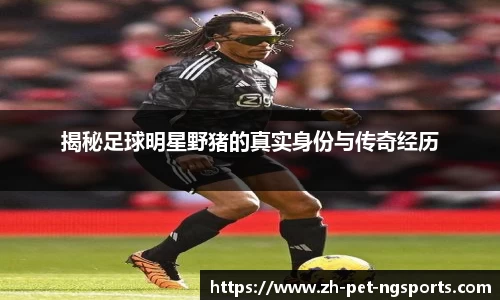 揭秘足球明星野猪的真实身份与传奇经历