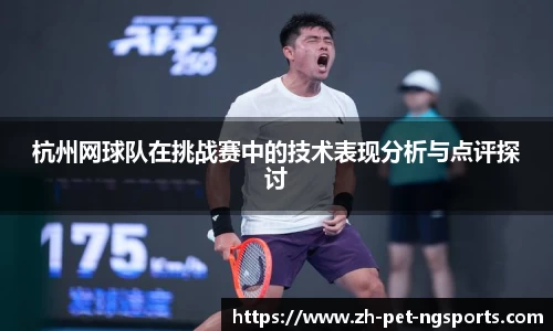 杭州网球队在挑战赛中的技术表现分析与点评探讨