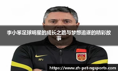 李小笨足球明星的成长之路与梦想追逐的精彩故事