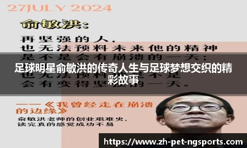 足球明星俞敏洪的传奇人生与足球梦想交织的精彩故事