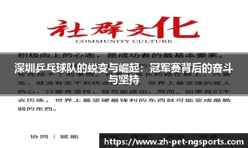 深圳乒乓球队的蜕变与崛起：冠军赛背后的奋斗与坚持
